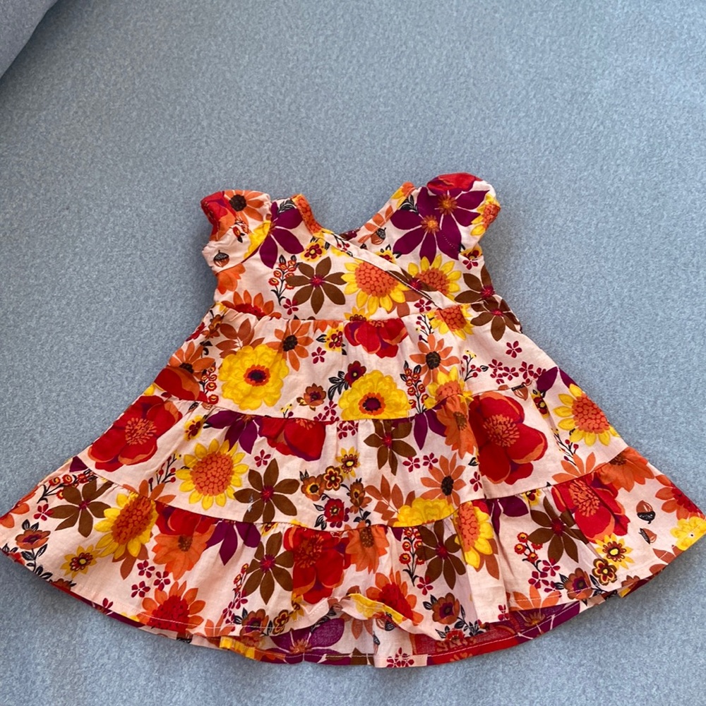 Gymboree Girls Harvest Flower Short Sleeve Dressy Dress, Size 0-3 Months